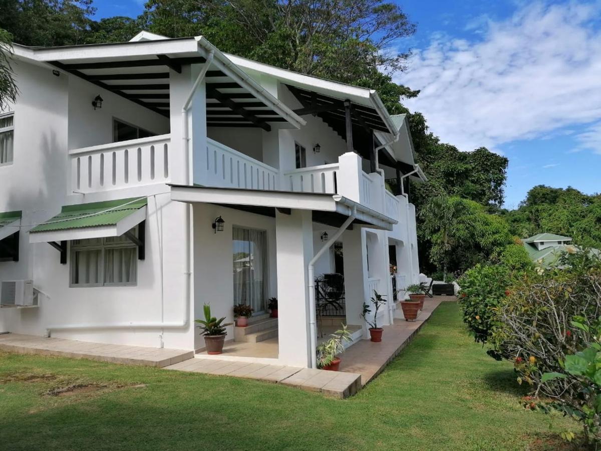 Bottle Palm Villa Victoria Extérieur photo