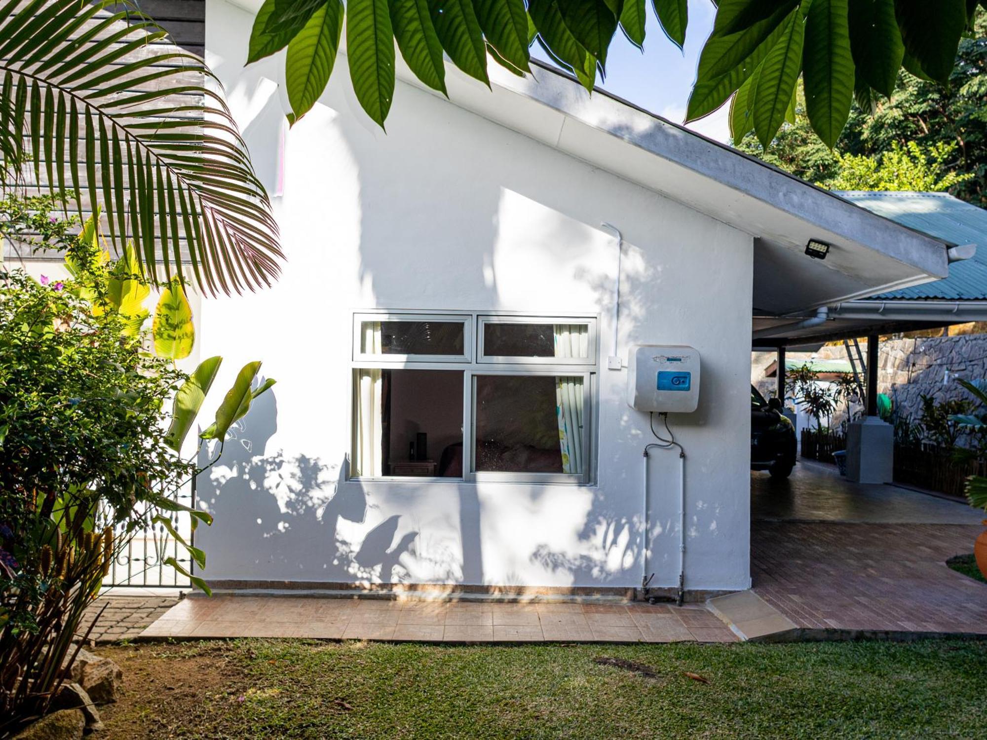 Bottle Palm Villa Victoria Extérieur photo